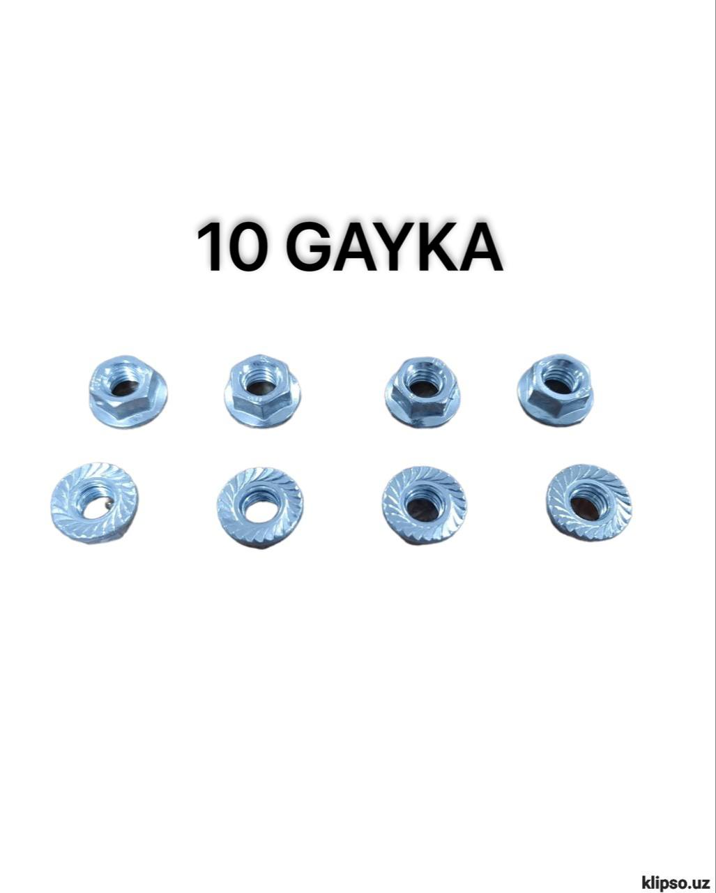 10 GAYKA X-T
