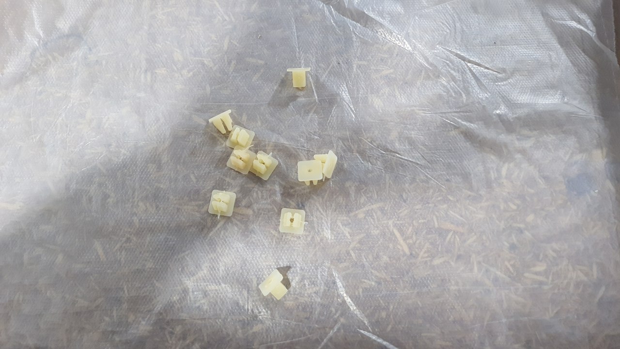 PATSHURF KL